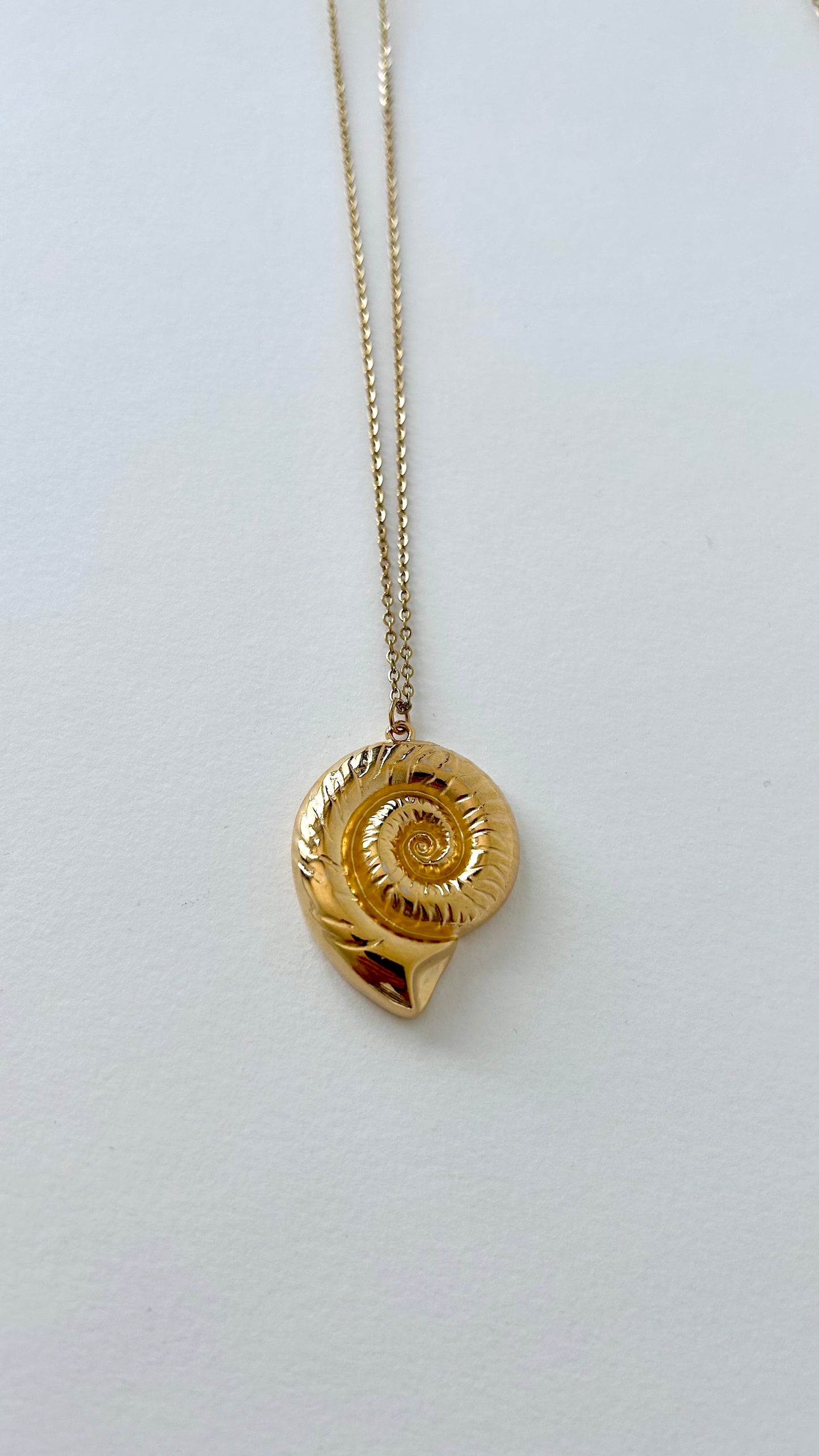 Collier Salina
